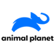 动物星球