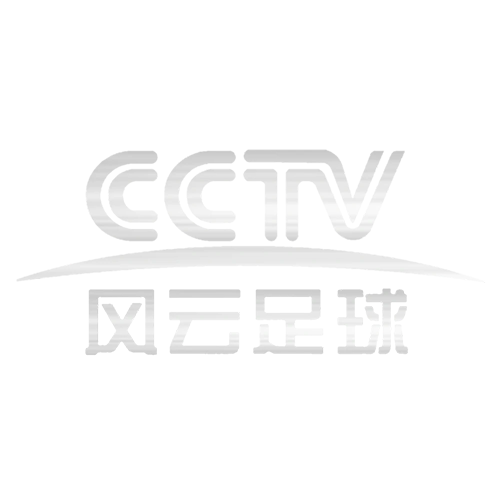 风云足球